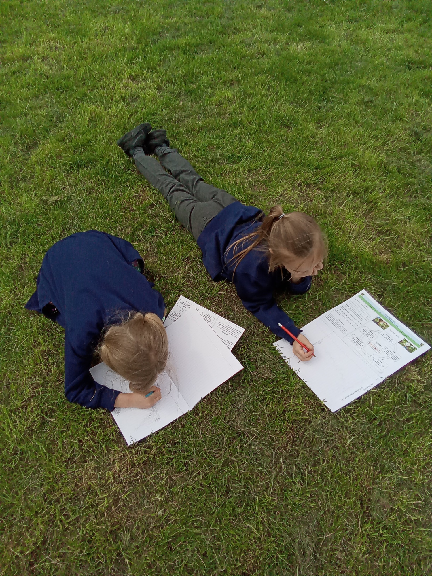 Children laying on the ground working in their books