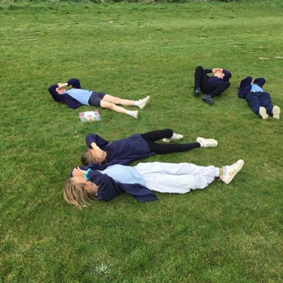 Spring Day 2025